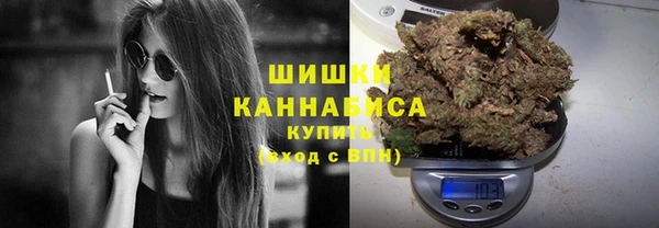 мяу мяу кристалл Няндома