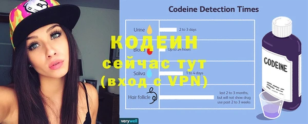 твердый Весьегонск