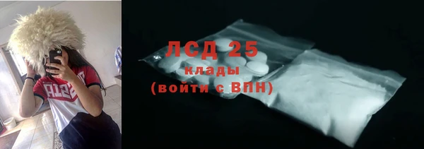 мяу мяу кристалл Няндома