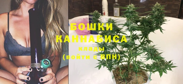 дживик Нягань