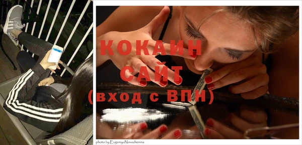 мяу мяу кристалл Няндома
