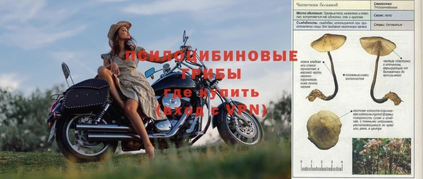 альфа пвп Нязепетровск