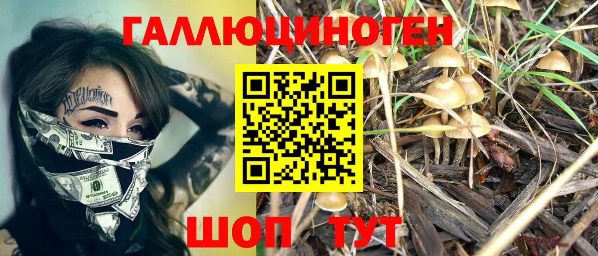 Галлюциногенные грибы Psilocybe  Вход с VPN  Балабаново 