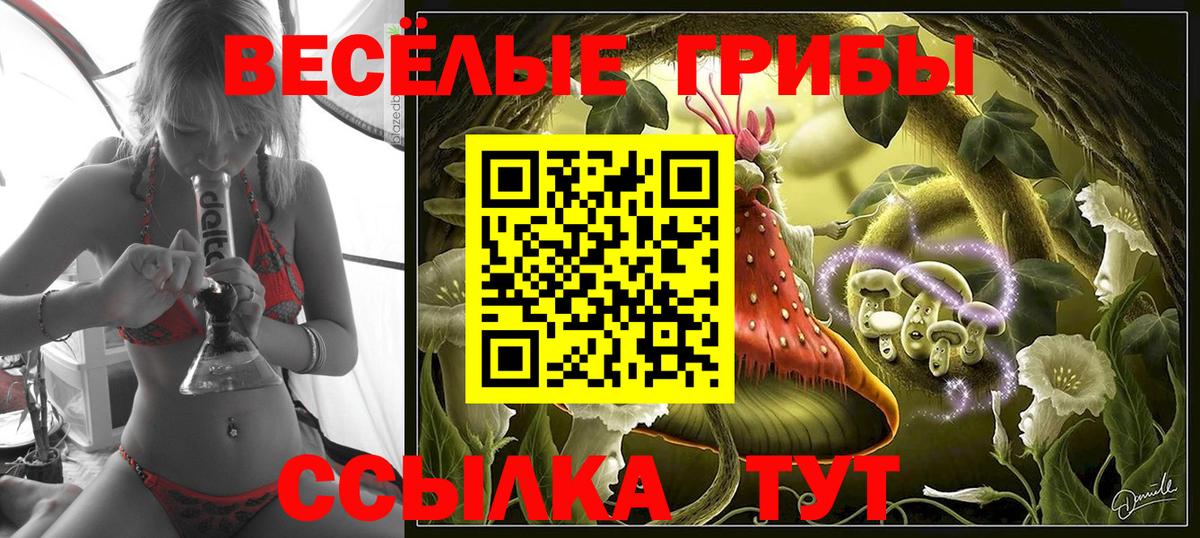 Псилоцибиновые грибы Cubensis Балабаново