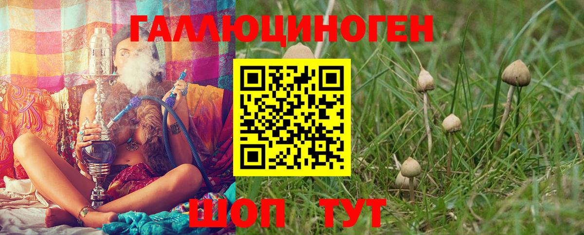 Галлюциногенные грибы Psilocybe Балабаново